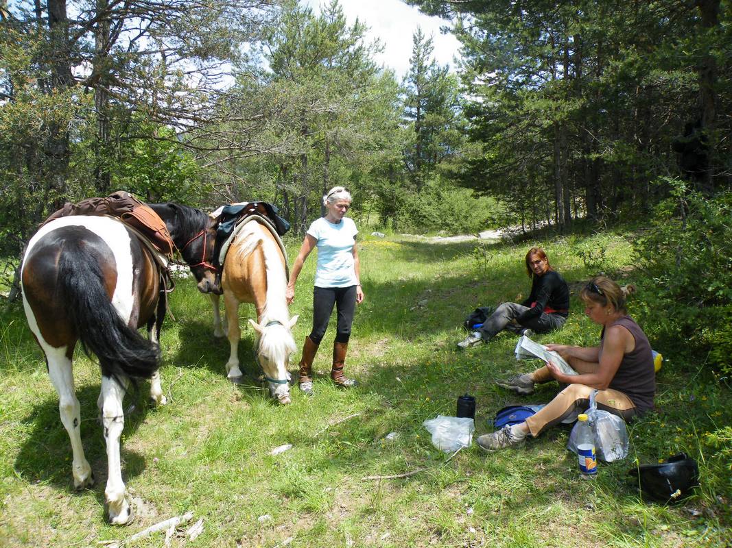 00405rando cheval pique nique redim